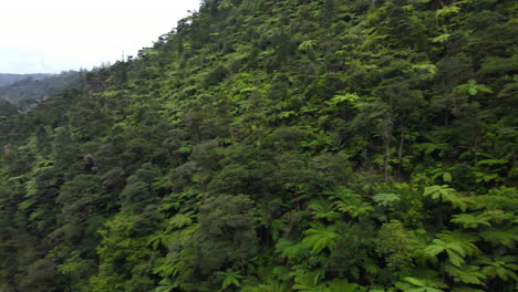 180-Drohnenpfanne-Des-Flusses-In-Der-Schlucht-Neuseelands-Mit-Buschlandbäumen