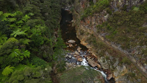 Drone-Pan-Rocky-River-Gorge-En-Nueva-Zelanda-Con-árboles-Y-Arbustos