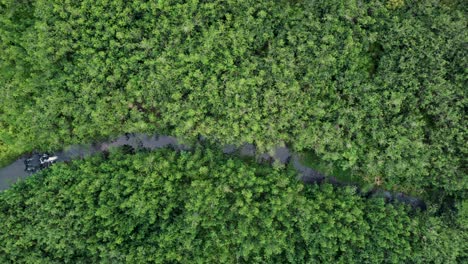 Luftbild-Von-Oben-Nach-Unten-Fluss-Im-Tropischen-Dschungel-Grüner-Regenwald