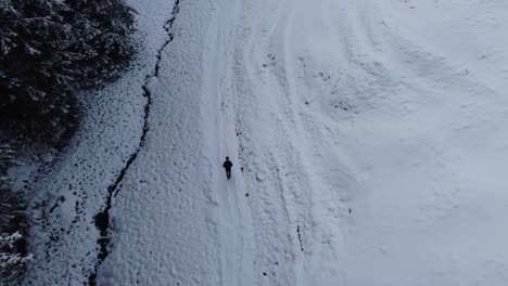 Hombre-Caminando-Por-El-Borde-De-Un-Bosque-Nevado