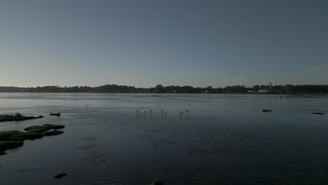 Flock-of-flamingos-taking-off-from-the-aveiro-estuary,-Portugal,-towards-the-sun