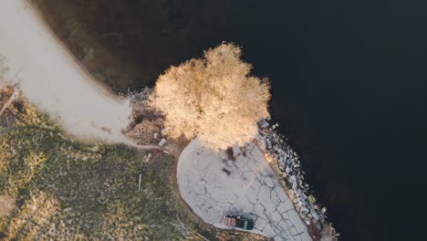 Rotation-Um-Herbstbäume-Am-Muskegon-Lake