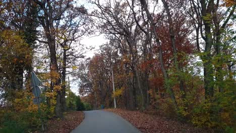 Fahren-Auf-Der-Straße-Durch-Einen-Herbstlichen-Wald