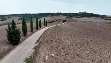 Following-Cypress-Alley-with-view-over-Siena,-Val-D-Orcia---Tuscany