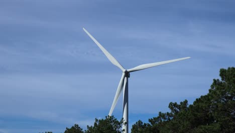 Single-wind-turbine-moving-with-blue-sky-and-some-clouds-behind-and-pine-forest-below