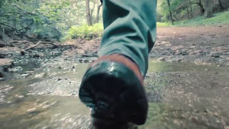 Close-up-of-man-in-hiking-shoes-walking-in-the-woods-over-wet-surface