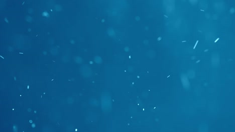 Schnee-Fällt-Im-Winter-Auf-Einen-Blauen-Hintergrund,-Gut-Für-Overlays