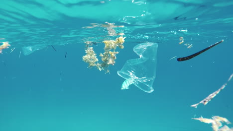Underwater-pollution:-plastic-glass-with-fish-in-background