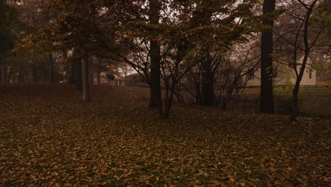 Smooth-motion-of-a-foggy-Halloween-Area
