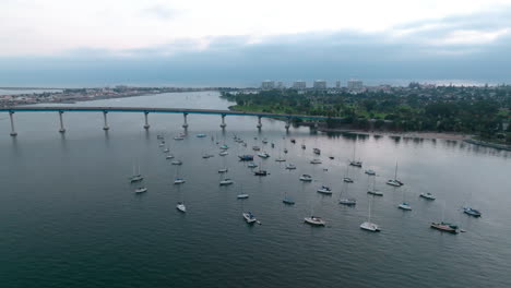 Many-white-sail-boats-standing-still-in-San-Diego-Bay-near-the-Coronado-Bridge