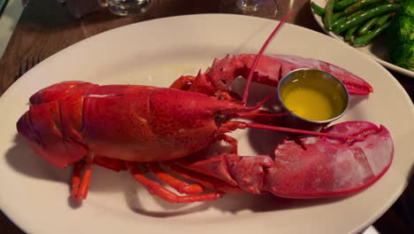 Steamed-red-New-England-lobster-with-melted-butter-30fps-4k-slow-motion