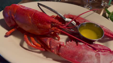 Steamed-red-New-England-lobster-with-melted-butter-60fps-4k
