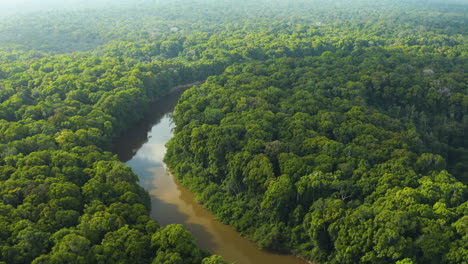 Breathtaking-aerial-shot-of-Rupununi-river-flowing-through-the-jungles-of-Guyana