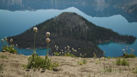 Volcano-island-in-the-middle-of-a-lake,-dandelions-in-the-foreground