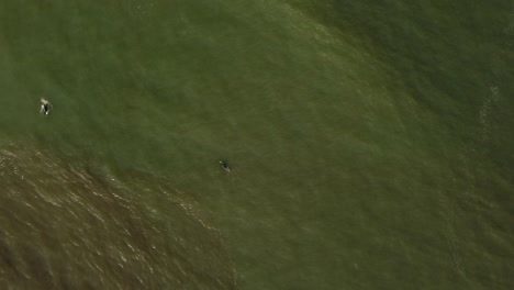 Top-down-aerial-view-of-surfer-paddling-in-open-sea