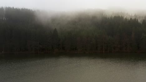 Toma-De-Video-De-Drones-De-Un-Bosque-De-Niebla-Cerca-Del-Lago-En-Alemania