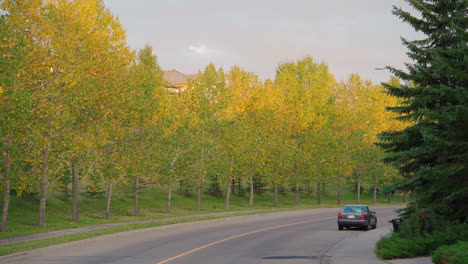 SUV-driving-down-road-with-forest-of-yellow-trees-in-quiet-neighbourhood-in-Canada