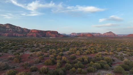 Überwucherte-Büsche-Auf-Einem-Campingplatz-In-Der-Nähe-Von-Sedona-Red-Rocks-In-Arizona,-Vereinigte-Staaten
