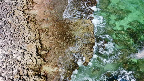 crystal-clear-emerald-water-on-rocky-coral-coastline-in-Cozumel-Mexico,-aerial-top-down