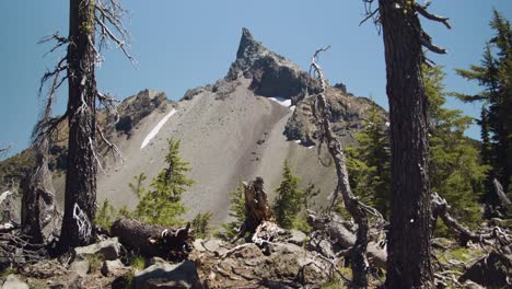 Snowy-summer-pointed-mountain-with-trees-in-the-foreground