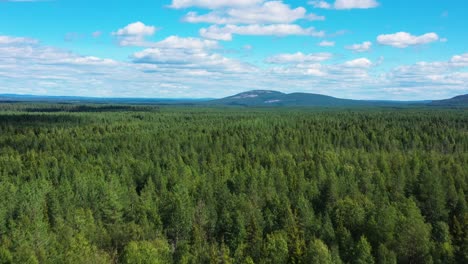 Huttujarvi-nature-reserve-Pelkosenniemi-dense-woods-Finland-aerial