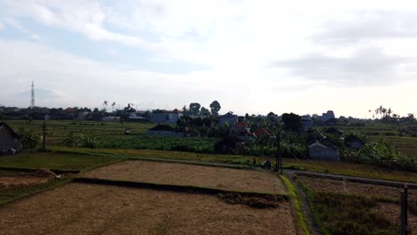 Bali-Sky-Time-Lapse-Rice-Fields-Daily-Lifestyle-People-Scooters-Drive-Small-Road-Agricultural-Rural-Houses-Living-in-a-Traditional-Balinese-Family