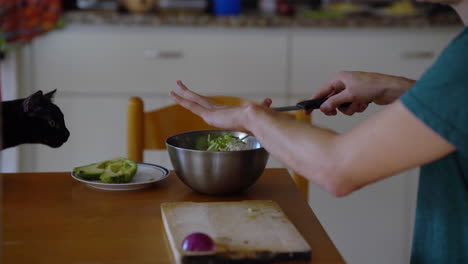 A-cat-watches-a-man's-hands-as-he-transfers-chopped-green-onions-salad-bowl