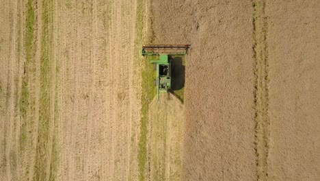 Two-Combined-Harvesters-Working-On-Rapeseed-Canola-Field---Top-Down-Aerial-Drone-Shot
