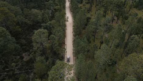 Top-down-aerial-view-of-jeep-drive-along-road-through-the-forest-to-the-top-of-the-mountain,-tracking-shot