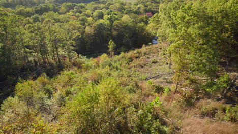 Aerial-over-trees-and-stream-in-southern-Missouri