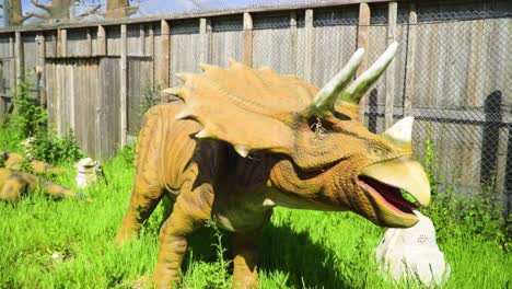 ancient-dinosaur-with-horns-moving-his-head-left-to-right-standing-in-front-of-the-fence-surrounded-by-grass-slow-motion-historical