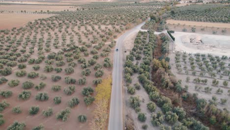 Drone-shot-of-car-crossing-a-rural-road-in-the-province-of-Malaga,-Spain