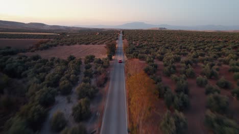Drone-shot-of-red-car-crossing-a-rural-road-in-the-province-of-Malaga,-Spain