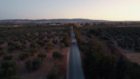 Drone-shot-of-red-car-crossing-a-rural-road-in-the-province-of-Malaga,-Spain