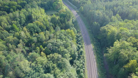 Sunshine-Over-Lush-Woodland-With-Railway-Near-Witomino,-Poland