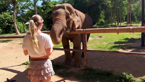 Una-Chica-Rubia-Está-Alimentando-A-Un-Elefante-Con-Sandía