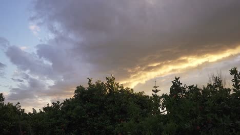 Schöner-Sonnenuntergang-Am-Himmel-Mit-Grauen-Wolken-In-Einem-Grünen-Gemüsebeet