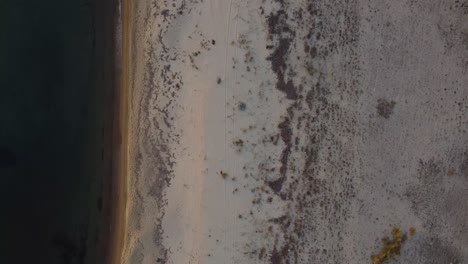 Slow-aerial-top-down-pan-over-beach-with-car-tire-tracks-at-dusk