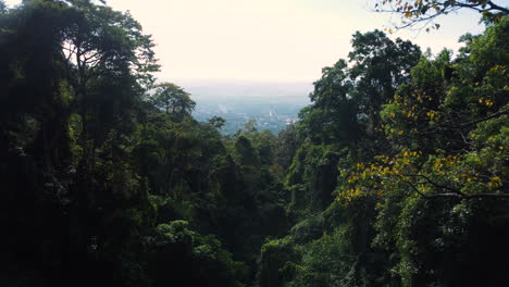 A-majestic-view-above-the-green-treetops-in-the-Vietnamese-jungle