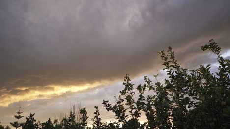Beautiful-sunset-in-the-sky-with-grays-clouds-in-a-green-vegetable-patch