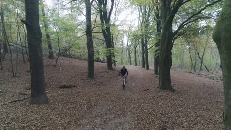 Mountainbiker-Fährt-Durch-Einen-Wald