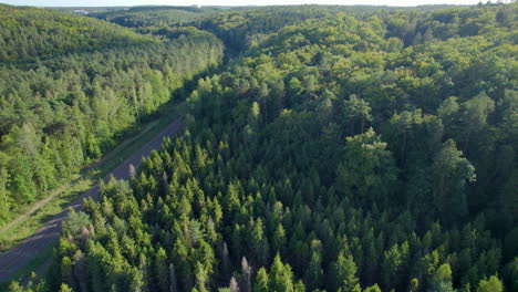 Ansicht-Von-Spuren-Mit-Grünem-Tropischem-Wald-In-Der-Landschaft-Von-Witomino,-Polen