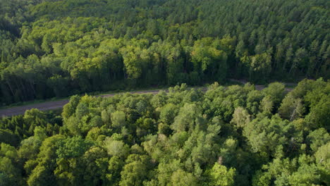 Luftbild-Von-Oben-Auf-Den-Dicht-Bewaldeten-Park-Mit-Straße-In-Witomino,-Polen