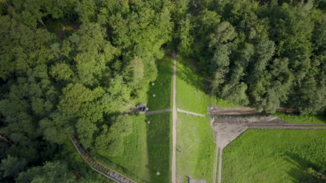 Drone-Aéreo-De-Bosque-Tropical-Con-árboles-De-Hoja-Caduca-Y-Senderos-Durante-El-Verano-Cerca-De-Witomino,-Polonia