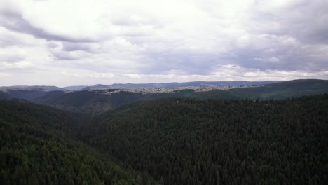 Antenne-Des-Pinienwaldtals-Auf-Marisel-Hill-Big-Landschaft,-Naturschutz