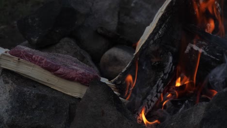 Steak,-Das-Auf-Einem-Stück-Feuerholz-Neben-Einem-Lagerfeuer-Gekocht-Wird