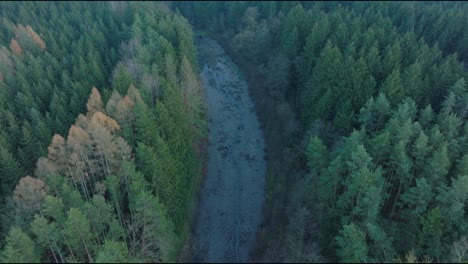 Aerial-drone-forward-moving-shot-over-dense-green-forest-on-both-sides-of-dry-river-bed-during-morning-time