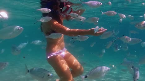 Underwater-scene-of-a-red-haired-girl-on-summer-holiday-surrounded-by-school-of-fish-in-shallow-water-feeding-them