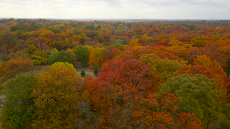 Flyover-gorgeous-Autumn-trees-at-peak-color-in-Missouri-on-a-beautiful-day