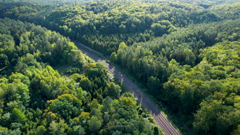 Herbstwald-Mit-Eisenbahn-An-Sonnigen-Tagen-In-Der-Nähe-Von-Witomino